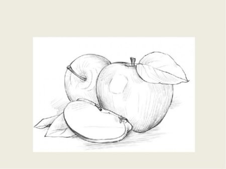 Фрукты карандашом