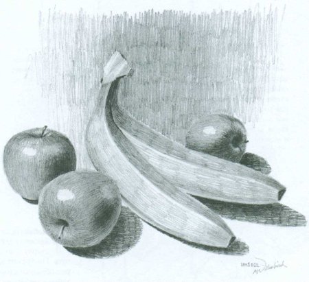 Помидор рисунок карандашом