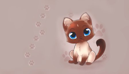 Красивые мультяшные котики