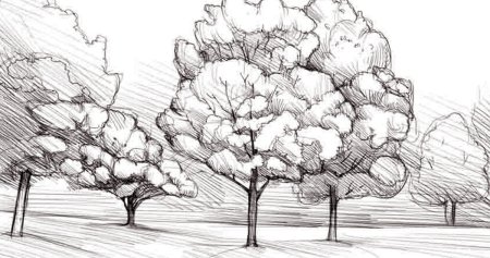 Осенние рисунки легкие для срисовки