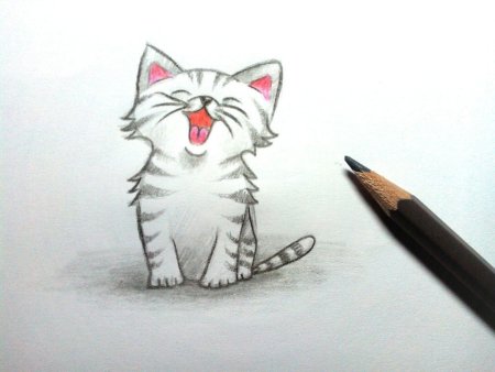 Котёнок рисунок карандашом