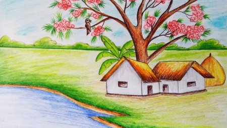 Рисунки природы