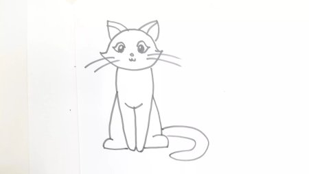 Котенок. Раскраска