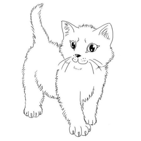 Раскраска кошечка