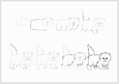 Поэтапное рисование кошки