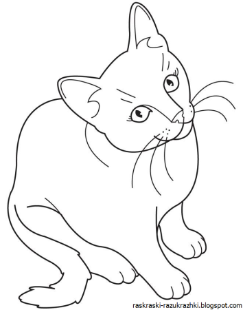 Кошки. Раскраска