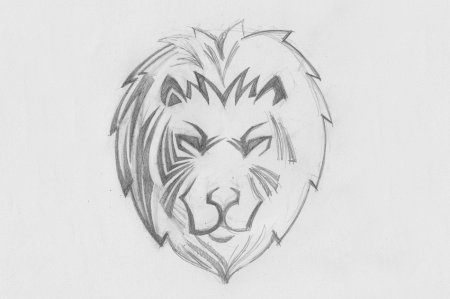 Лев для срисовки