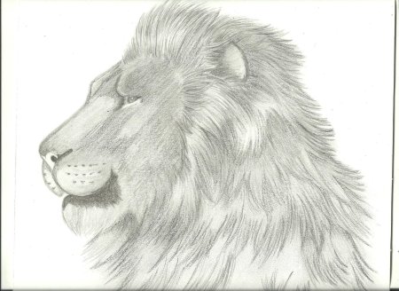 Хроники Нарнии Аслан