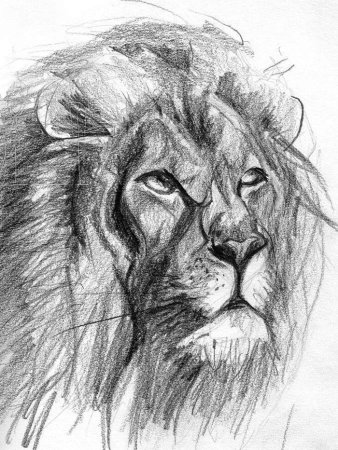 Эскизы карандашом