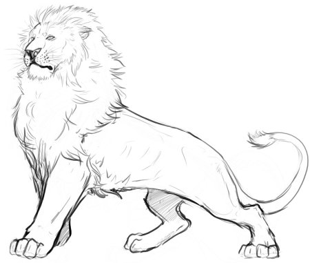 Лев рисунок