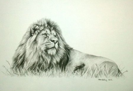 Нарисовать Льва карандашом