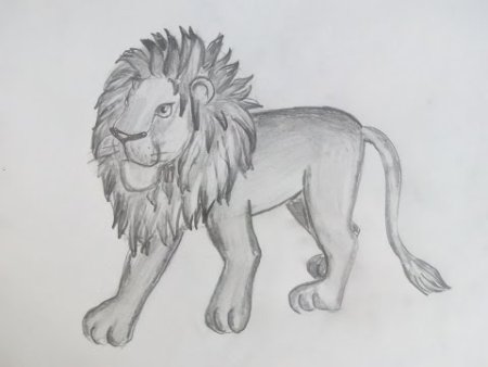 Граффити рисунки карандашом Лев