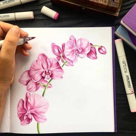 Орхидея маркерами