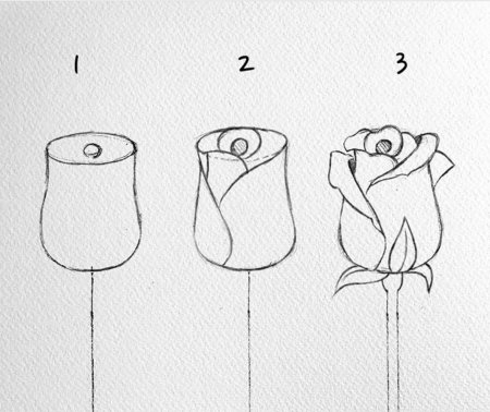 Пошаговые рисунки