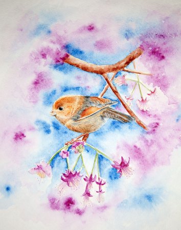 Акварельные иллюстрации