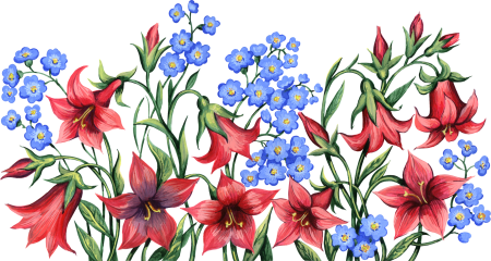 Цветы рисунок