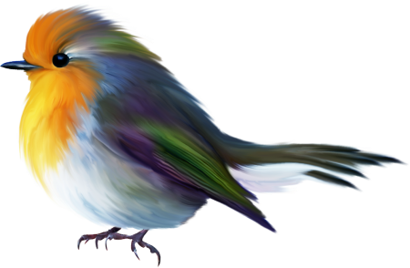 Клипарт птицы на прозрачном фоне