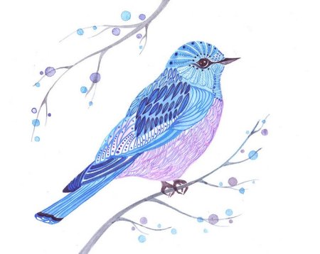 Птичка рисунок