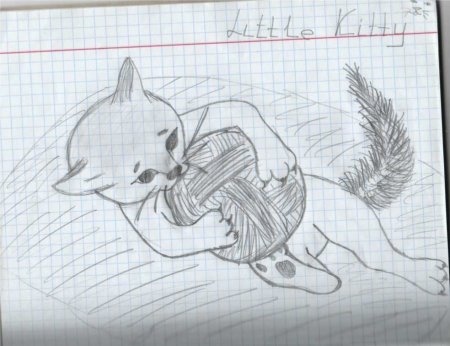 Рисунок ручкой для начинающих