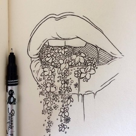 Рисунки для скенчь бука