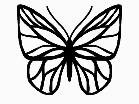 Бабочка контур