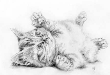 Котенок карандашом