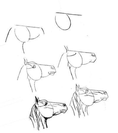 Красивые поэтапные рисунки карандашом