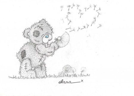 Мишка Тедди простым карандашом