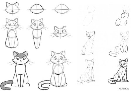 Схема рисования кошки
