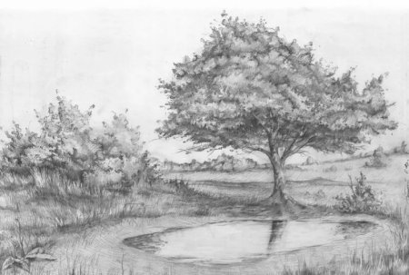 Пейзаж карандашом легкий