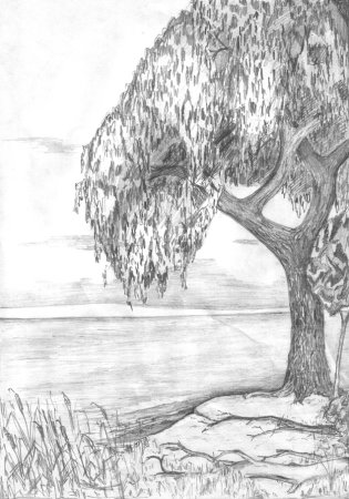 Пейзаж простым карандашом