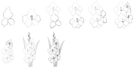 Поэтапное рисование цветов карандашом
