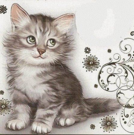 Котенок сухой пастелью