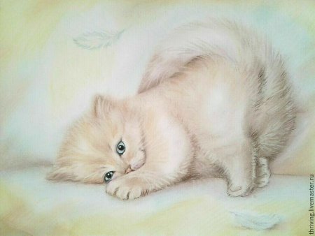 Поэтапный рисунок кошки