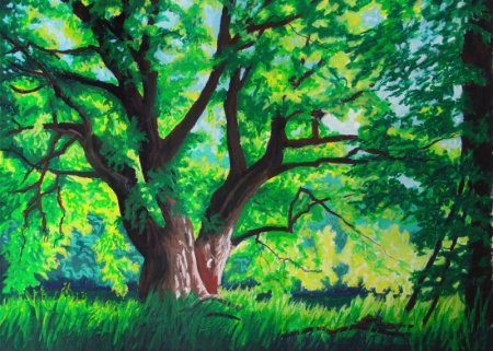 Пейзаж с деревьями для детей