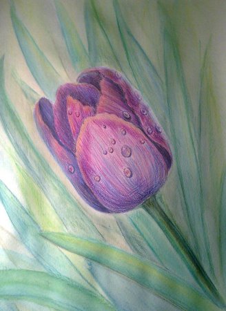 Рисунки акварельными карандашами