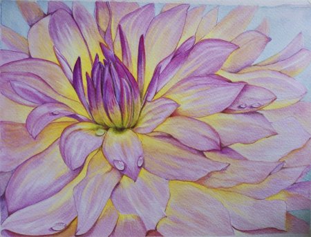 Цветы цветными карандашами