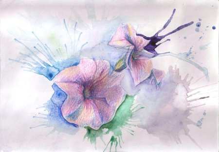 Рисование акварельными карандашами