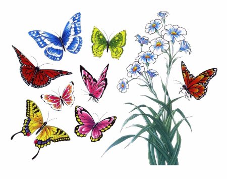 Красивые бабочки