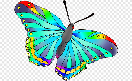 Бабочки на белом фоне