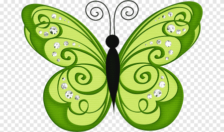 Бабочки красивые цветные