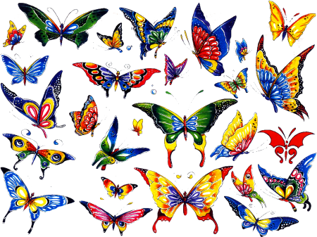 Бабочки рисунки цветные