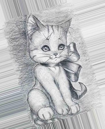 Красивый котик карандашом