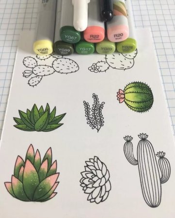 Кактус маркерами для скетчинга