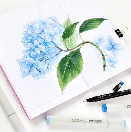 Рисование маркерами для начинающих