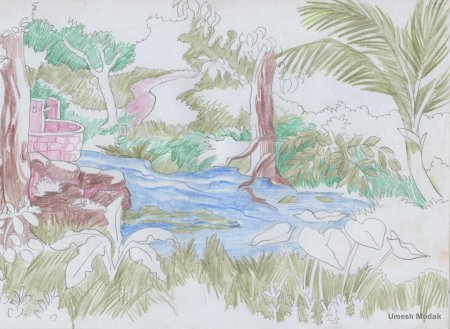 Природа рисунок карандашом в цвете