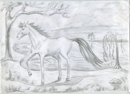 Рисунки карандашом природа