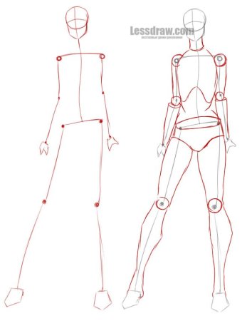 Девушки карандашом в полный рос