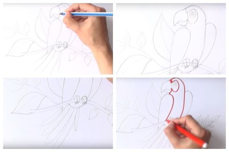 Уроки рисования для начинающих