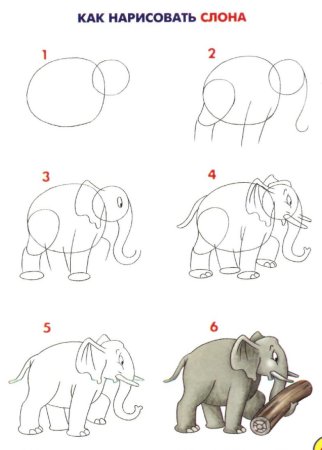 Этапы рисования